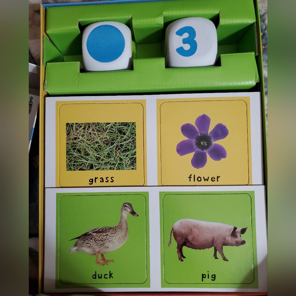 Briarpatch 100 First Words Activity Game - Picture 3 of 3